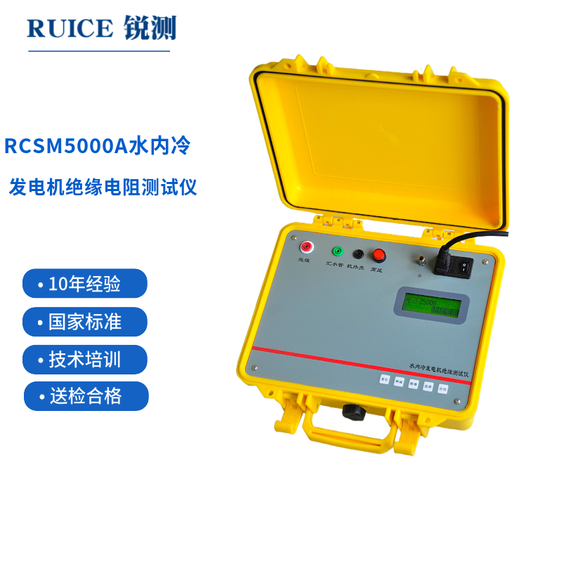 RCSM5000A 水内冷发电机绝缘电阻测试仪